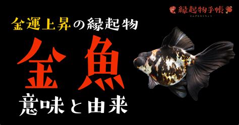 風水 金魚 色|金魚の風水で金運が上がる！運気が上がる金魚の風水術12選